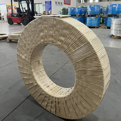 Sus301 Sert Paslanmaz Çelik Rulo Şerit 5517 3mm Yarık Kenar 10mm