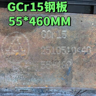 stokta yüksek karbonlu metal plaka Gcr15 1.3505/Suj2 /52100 EN31/535A99 Taşıyıcı çelik levha plaka 55*460mm