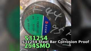 S31254 SMO254 Paslanmaz Çelik Çubuk 300mm